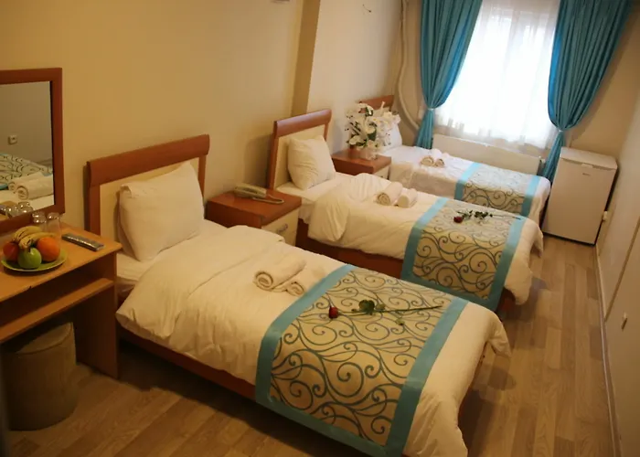 Ξενοδοχείο Sim Old Κωνσταντινούπολη